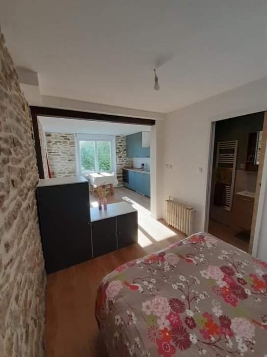 Superbe Studio, Avec Cuisine Et Espace Exterieur Plouguerneau Eksteriør billede